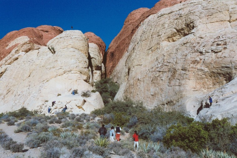 紅岩峽谷國家保護區 (Red Rock Canyon National Conservation Area)